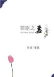 罪臣之妻讲的什么故事