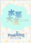 水果大亨txt