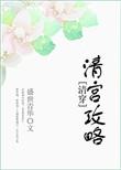 清穿之清宫攻略