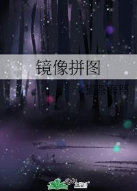 镜像拼图的玩法