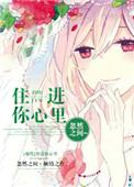 住进心里的人歌词