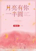 月亮有你一半圆晋江
