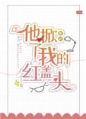 他掀了我的红盖头TXT百度