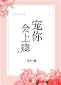 宠你会上瘾董七无防盗章