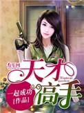 天才高手在都市第二部