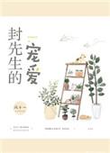 封先生的宠爱作者风十一