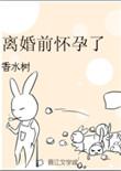 离婚前怀孕了by香水树txt