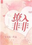 撩入非非txt 百度
