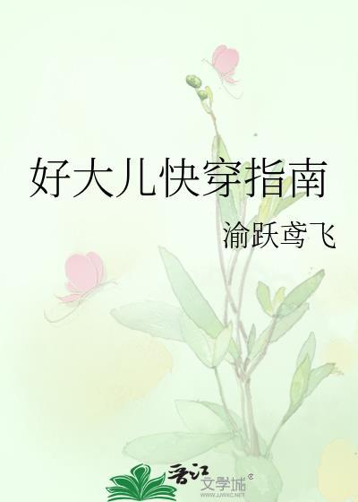 好大儿快穿指南渝跃鸢飞