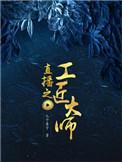 直播之工匠大师作者九个栗子