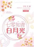七零知青白月光作者清涴