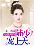 闪婚厚爱陆少的心尖宠