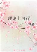 理论上可行的英文
