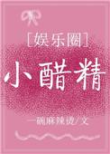 小醋精txt