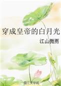 穿成皇帝的白月光讲的什么