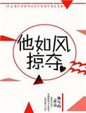 他如风掠夺无弹窗txt