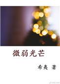 微弱光芒全本番外txt