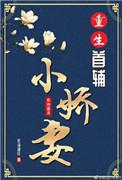 重生首辅小娇妻全本