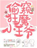 日常偷窥的小王爷tXt