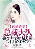 闪婚总裁大人宠妻成瘾