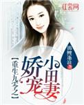 重生九零之娇宠小田妻 作者锦鲤逐浪