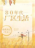 80年代厂区生活全文免费
