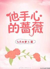 他手心的蔷薇娱乐圈全文