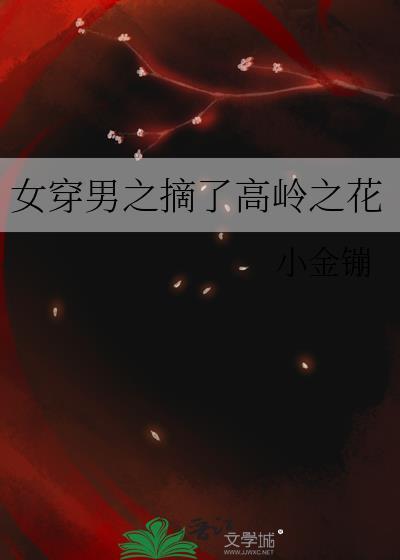 女穿男之摘了高岭之花 作者小金镚百度