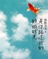 你路过了我的倾城时光