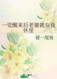一觉醒来老婆变前妻无弹窗