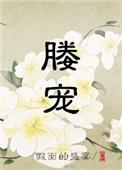 媵宠txt百度