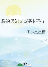 朕的男妃又双叒怀孕了!全文番外