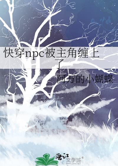 快穿npc攻略