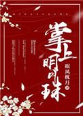 掌上明月珠番外篇全文阅读无弹窗