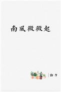 南风微微起番外txt