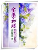 宝妻的经典