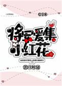 将军爱集小红花结局
