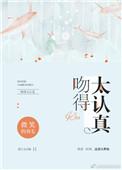 吻得太认真歌曲的歌词