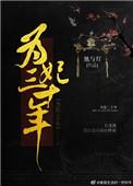 为妃三十年 她与灯