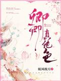 娇宠卿卿周子礼郑如殊
