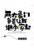 两大豪门争着让我继承家业by公子寻欢
