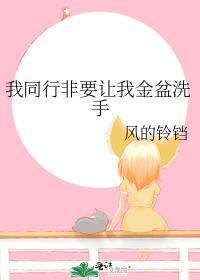 我同行非要让我金盆洗手风的铃铛免费阅读36章