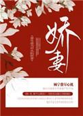 重生成为对头的娇妻顾宁