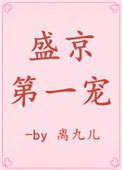 盛京第一宠txt