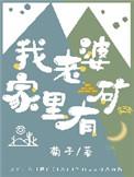 我家老婆家里有矿
