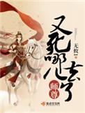 师尊又去哪里了免费