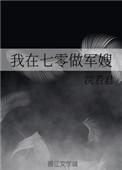 我在70当军嫂