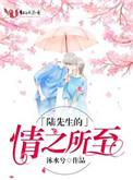 陆先生的情之所至陆景寒韩曦