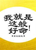 我就是这般好命晋江