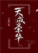 荣佳天成集团